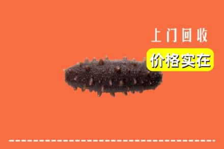 临猗县回收海参